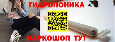 соль ск Кулебаки