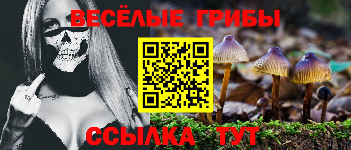 Галлюциногенные грибы мухоморы  где купить наркотик  Фрязино  Вход с VPN 